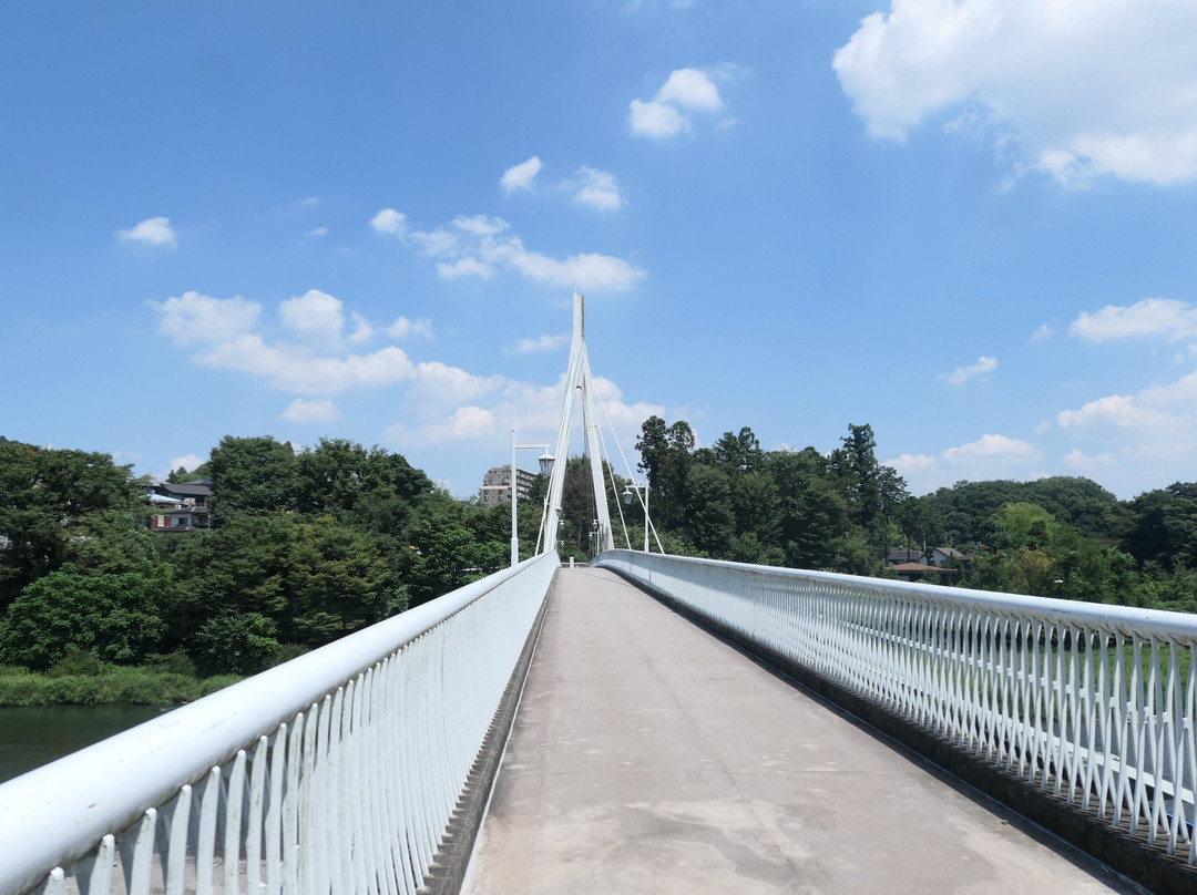 Ayumi Bridge-青梅市必去景点