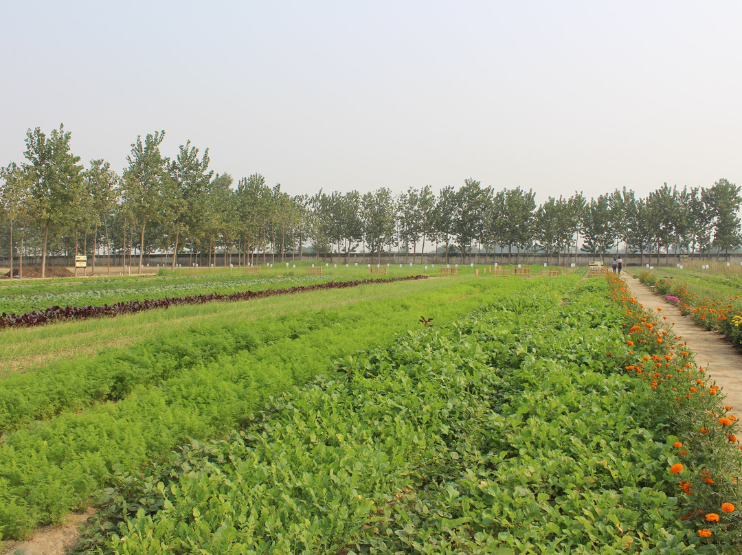 Rewild Life Biodiversity Farms-诺伊达必去景点