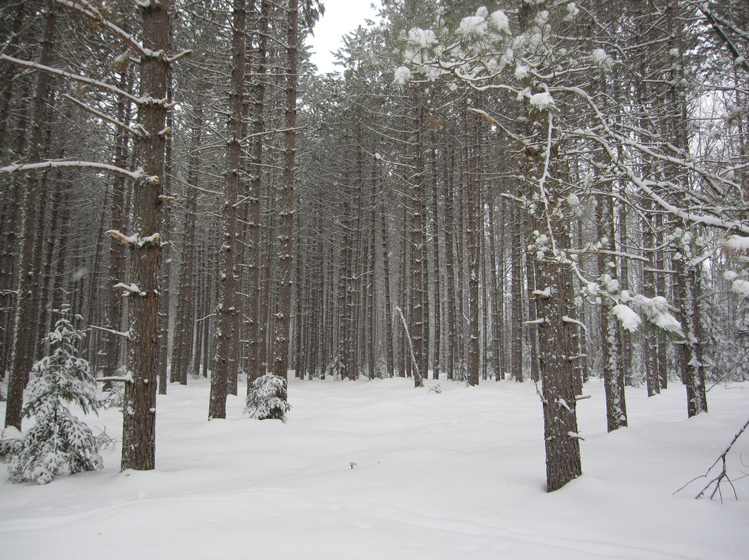 Rapid River Ski Trail景点图片