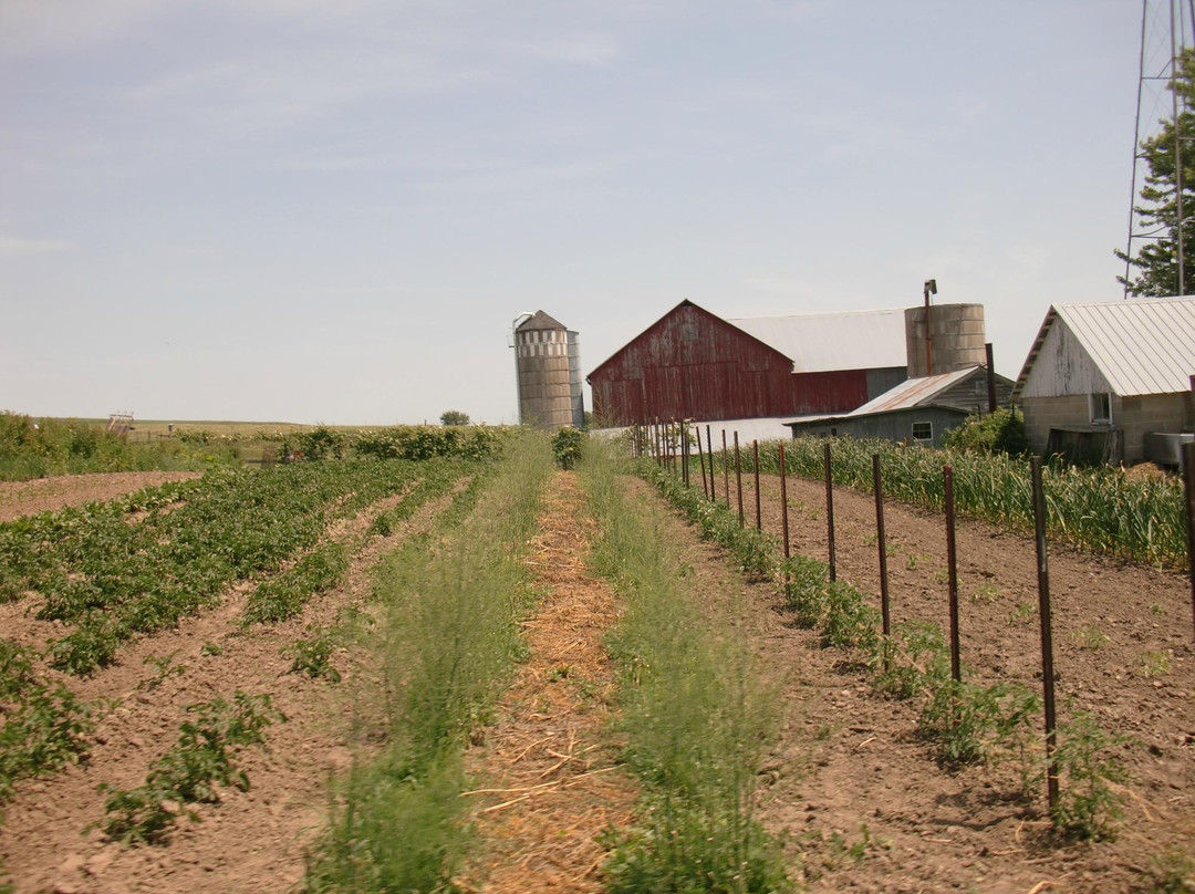 Amish Tours of Harmony