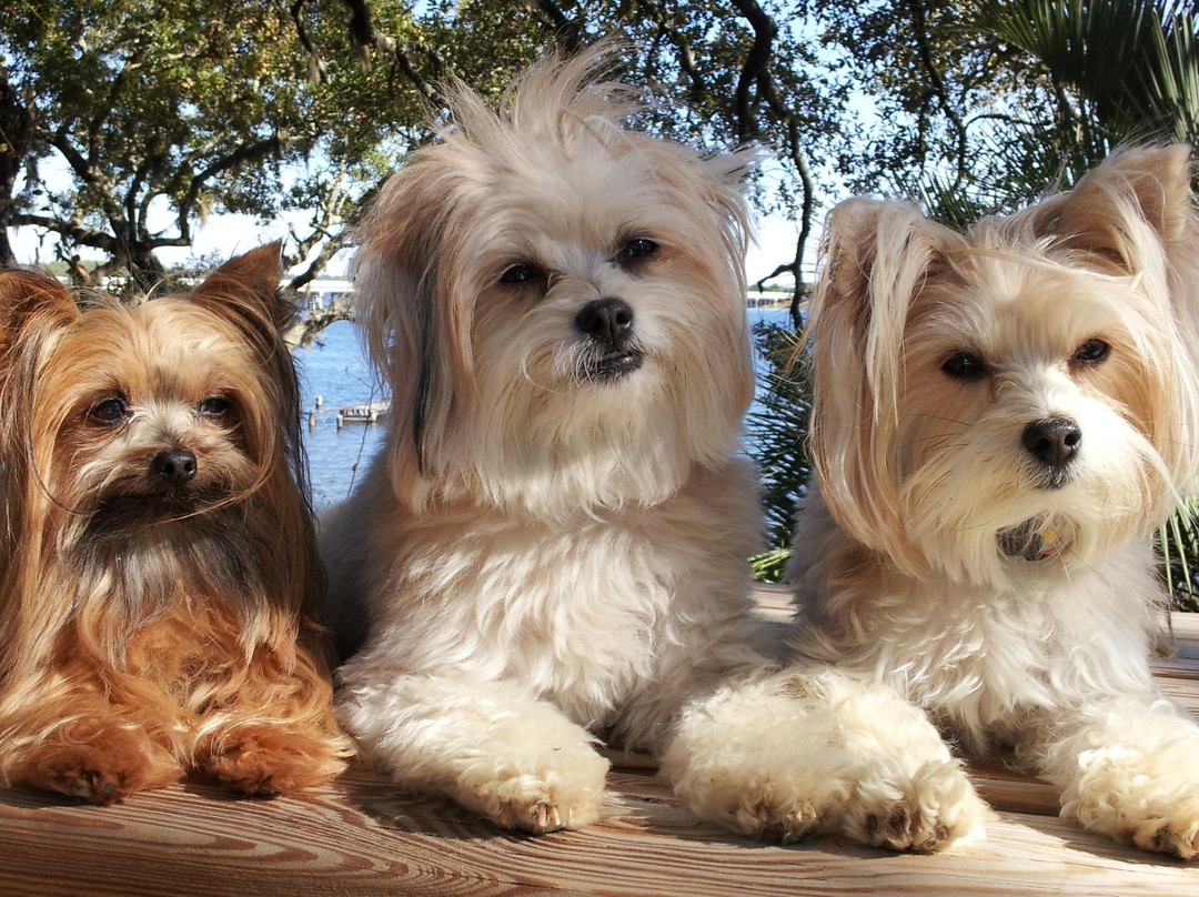 Morganfield旅游景点-gabbi's Boutique