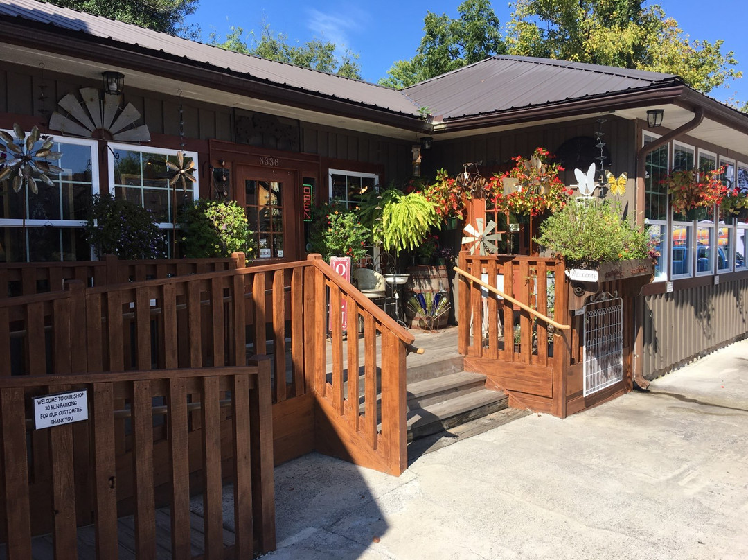 A Long Story Short Company-皮金福奇必去景点