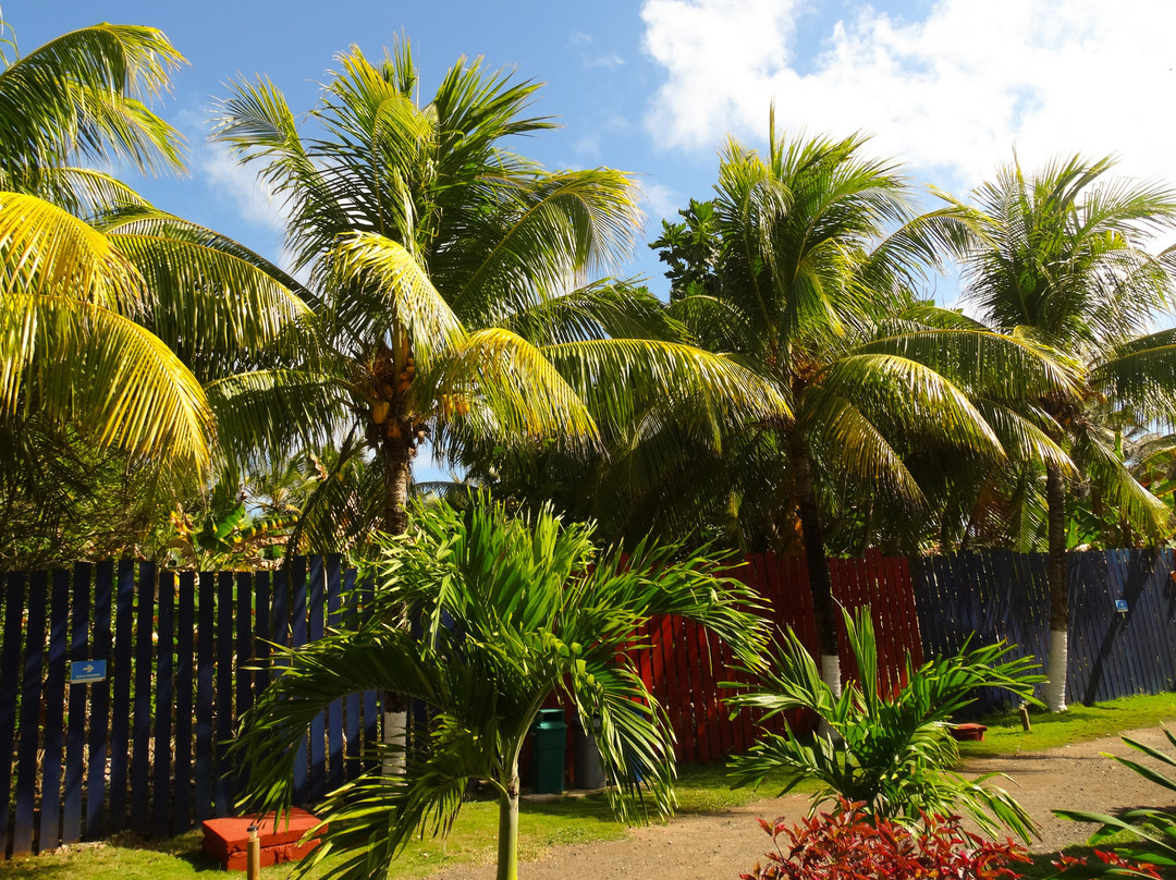 Casa Finca El Karaho主图