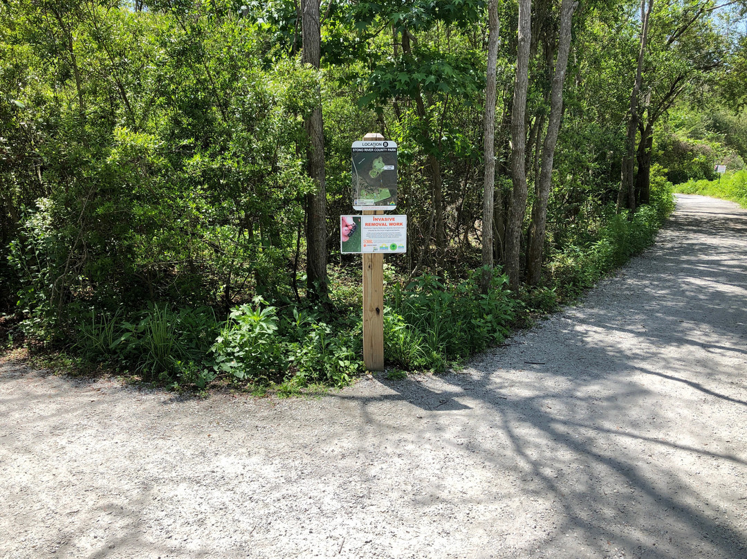 Stono River County Park景点图片