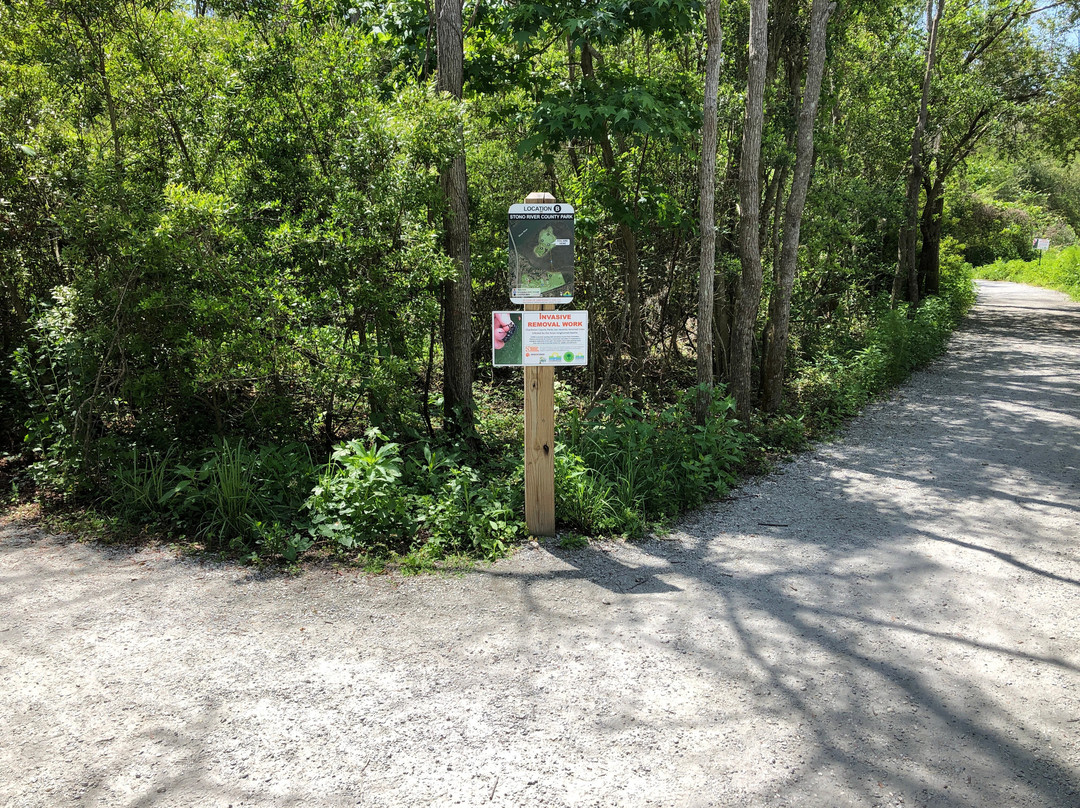 Stono River County Park景点图片