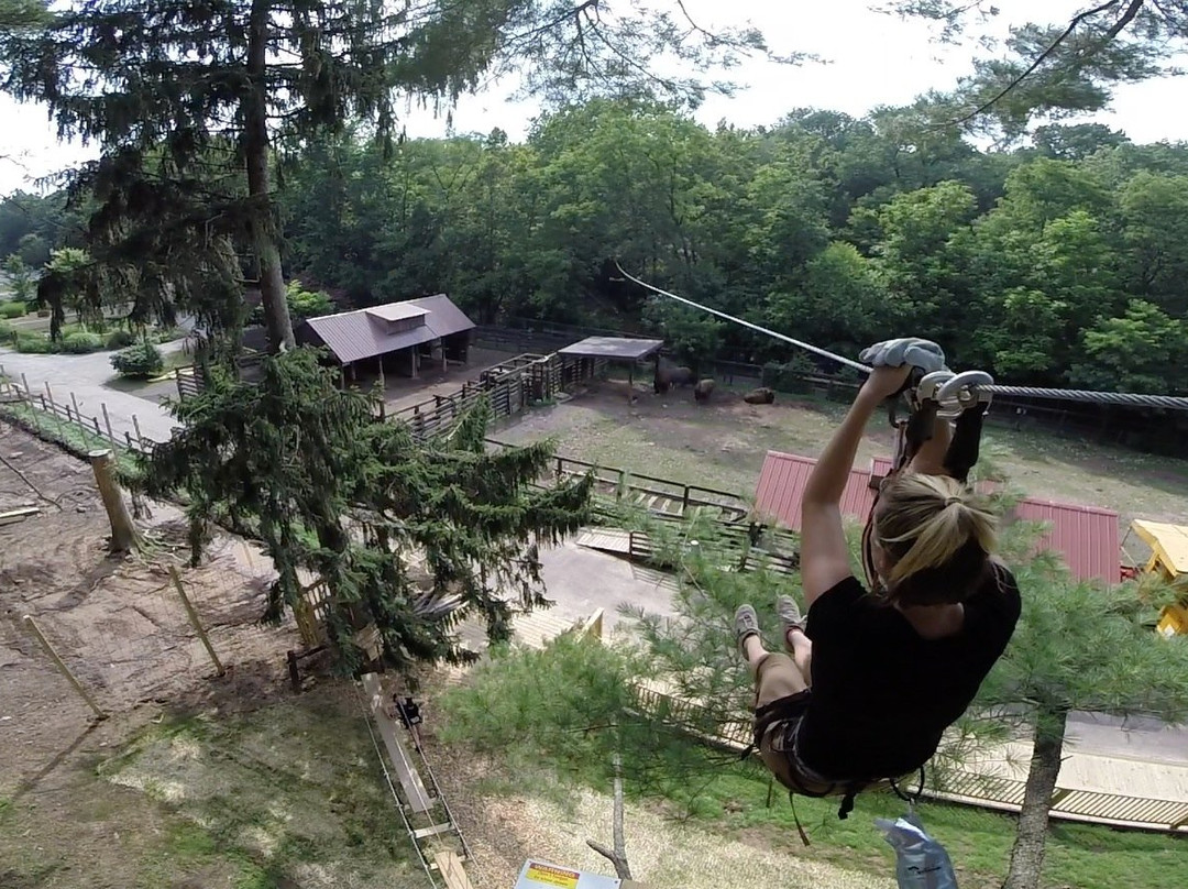 Treetop Adventures-Norristown必去景点