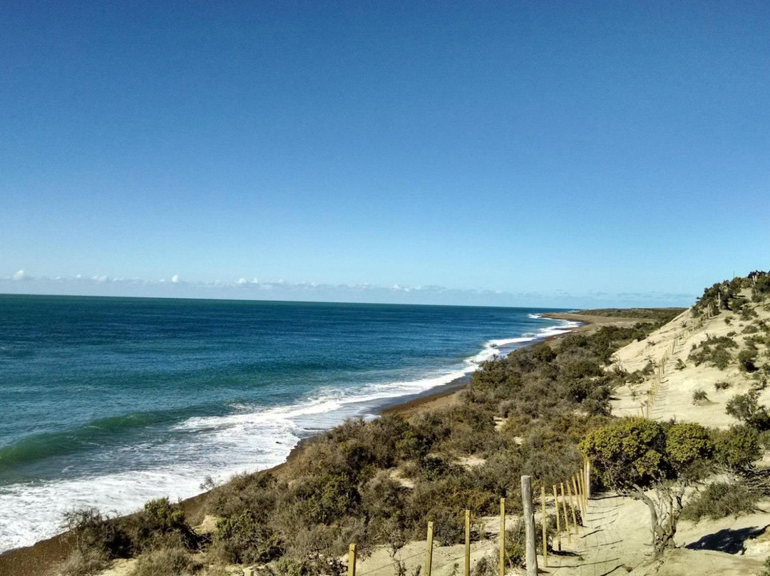 Punta Norte-Province of Chubut必去景点