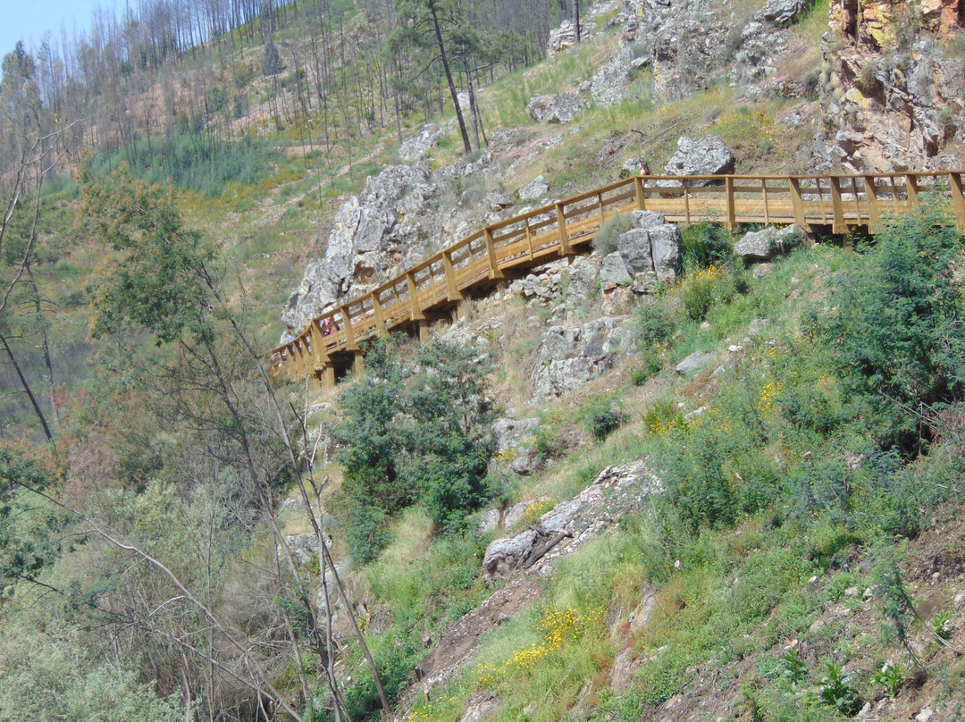 Explore Bucovina-Suceava必去景点