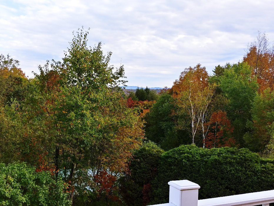 Bromley View Inn主图