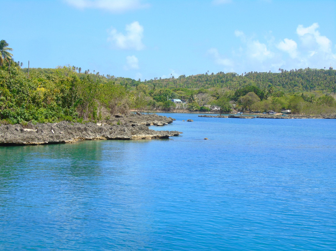Bahía del Cove景点图片
