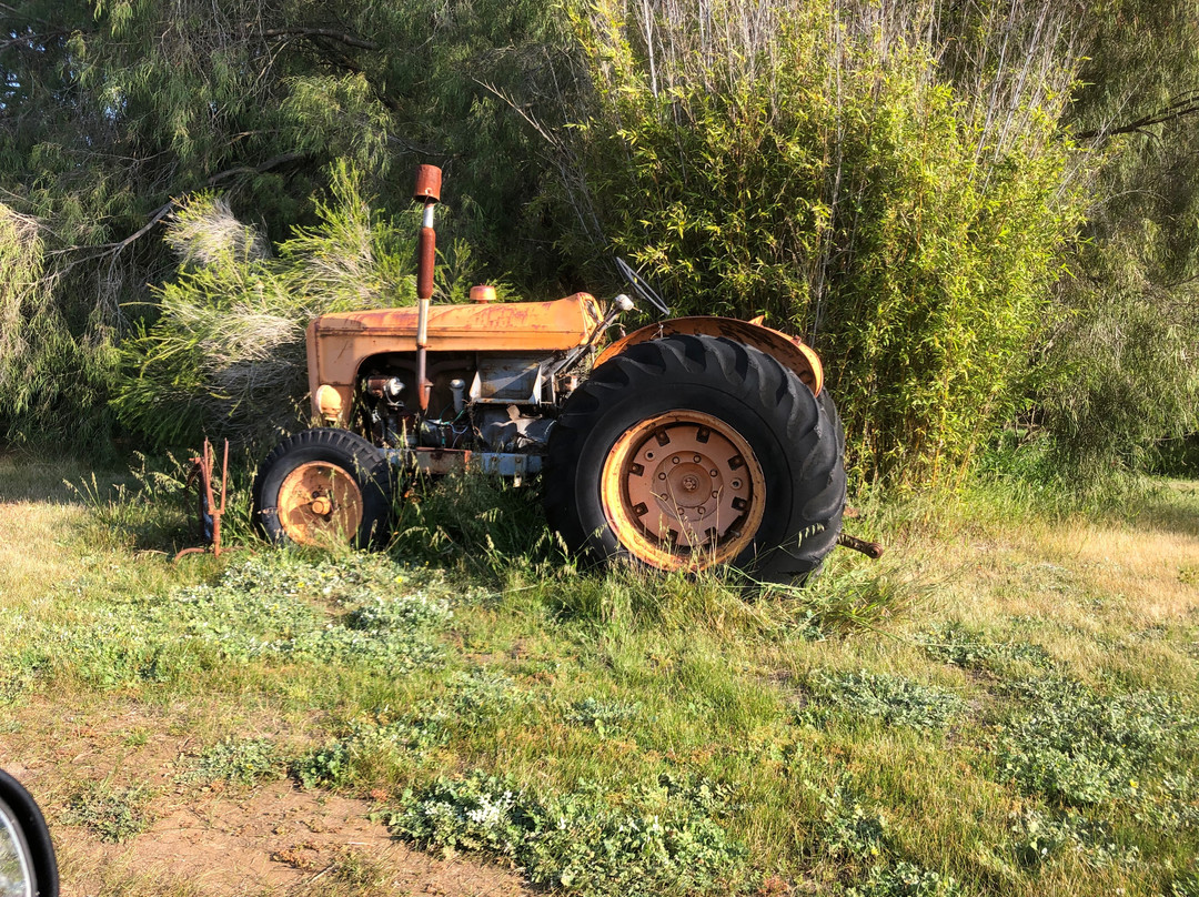 Oranje Tractor Wine-奥尔巴尼必去景点