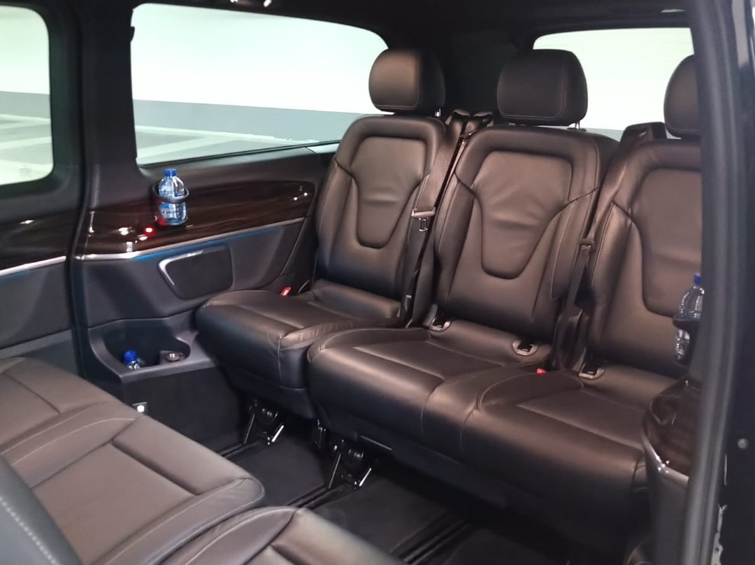 De Luxe Taxi Holland-阿姆斯特丹必去景点