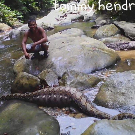 Bukit Lawang Explore景点图片