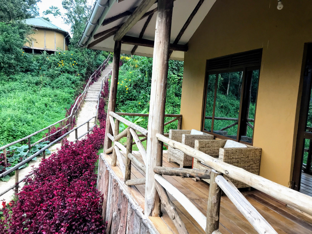 Gorilla Safari Lodge主图