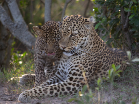 eTrip Africa-阿鲁沙必去景点