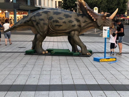 芮纳桑斯布彻姆酒店主图