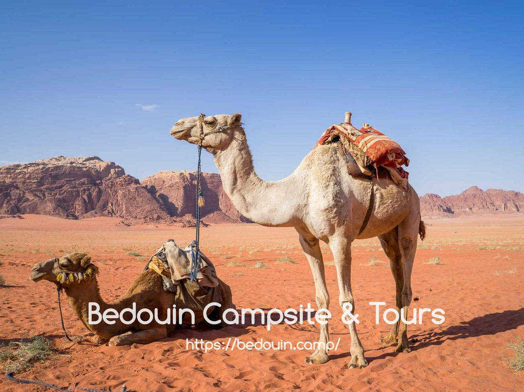 Wadi Rum Bedouin Campsite & Tours-Wadi Rum Village必去景点
