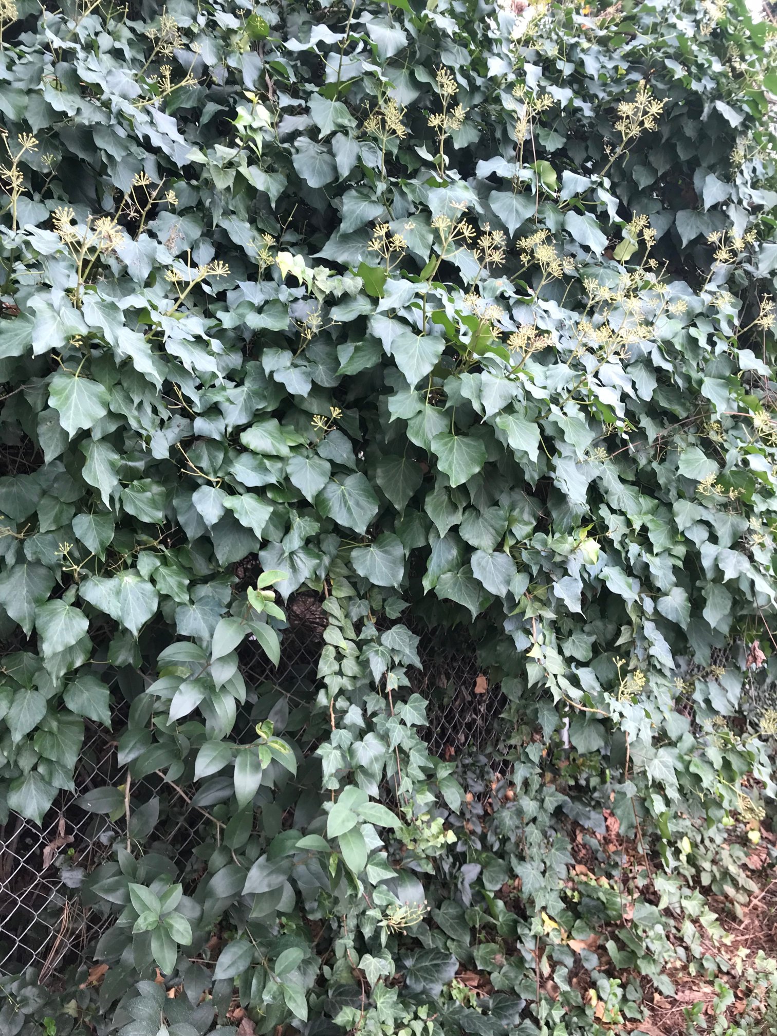 Win-river Resort & Casino Hotel-portrait