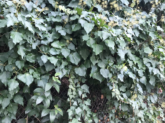 Win-river Resort & Casino Hotel主图