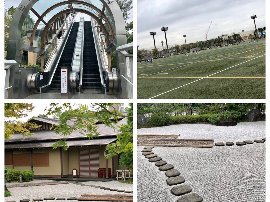 Rinkai Ball Field-江戸川区必去景点