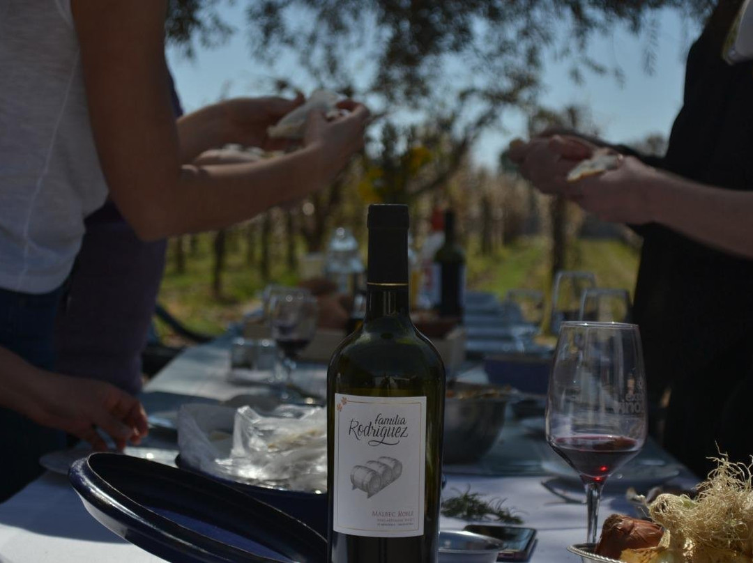 Bodega Familia Rodriguez-Maipu必去景点