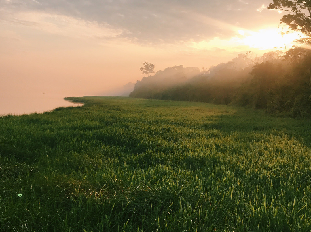 Aquicuana Reserve-Riberalta必去景点