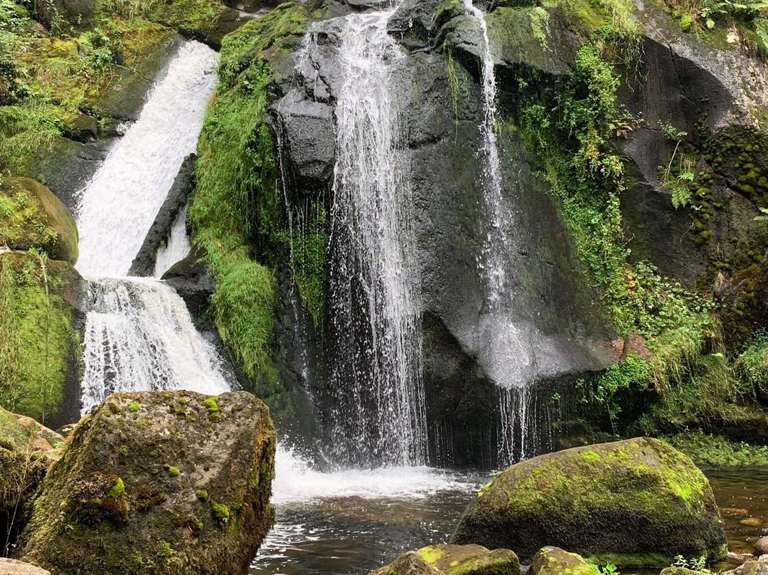 Triberger Waterfall景点图片