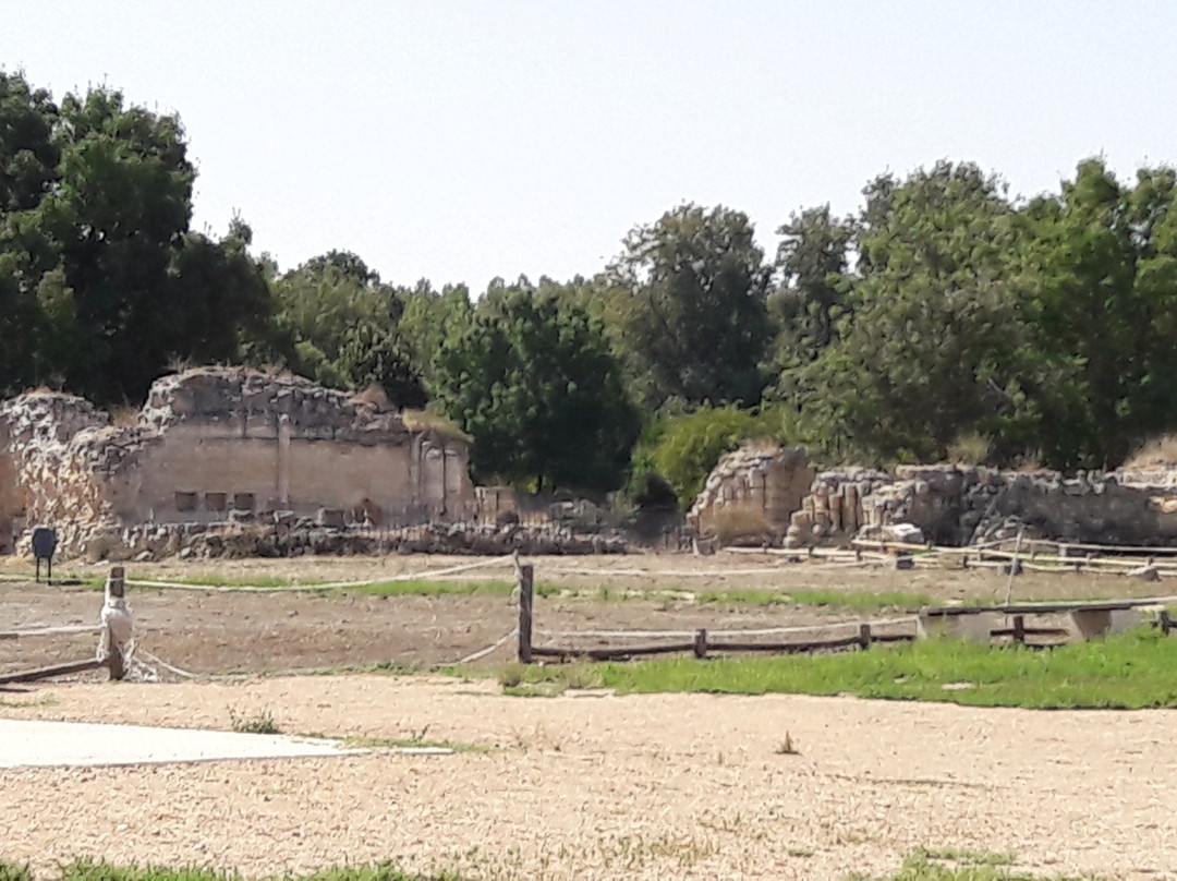 Monasterio Cisterciense de Matallana