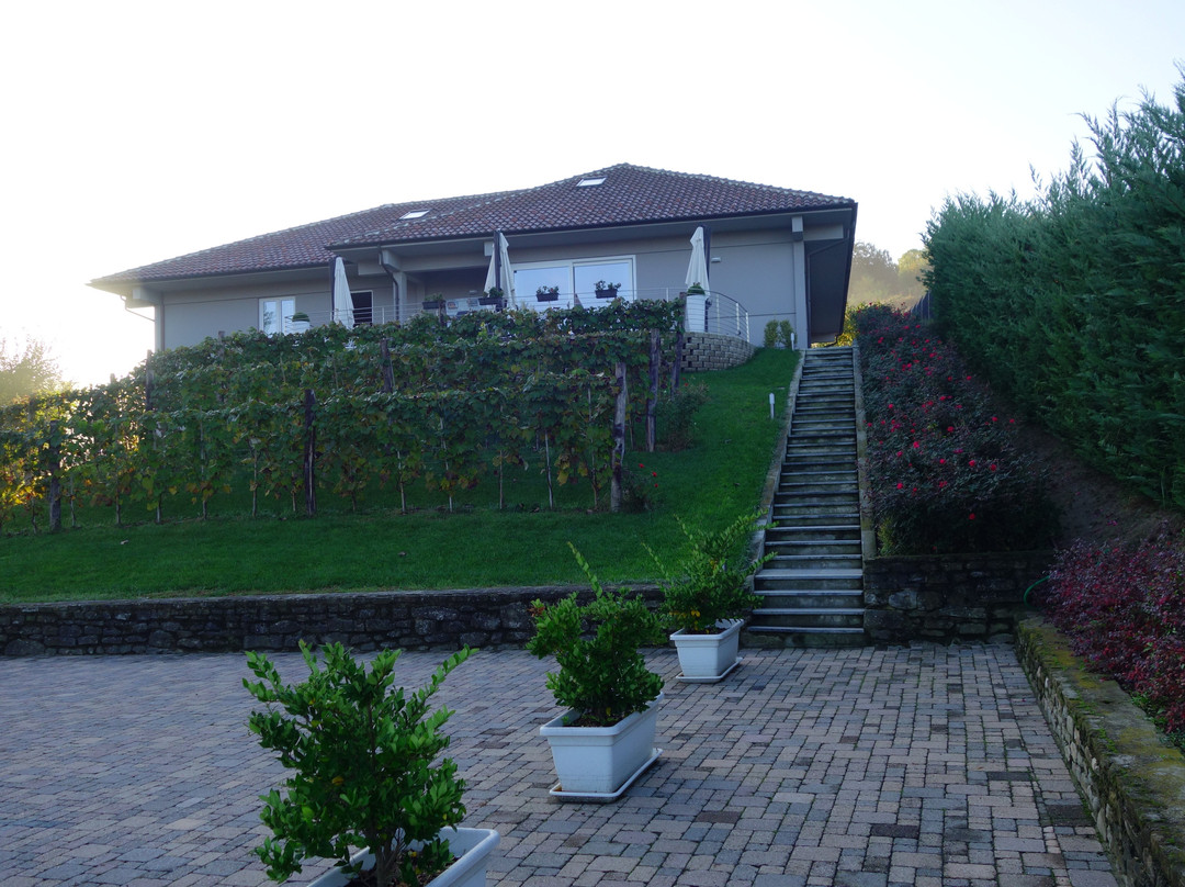Villa Gremi主图