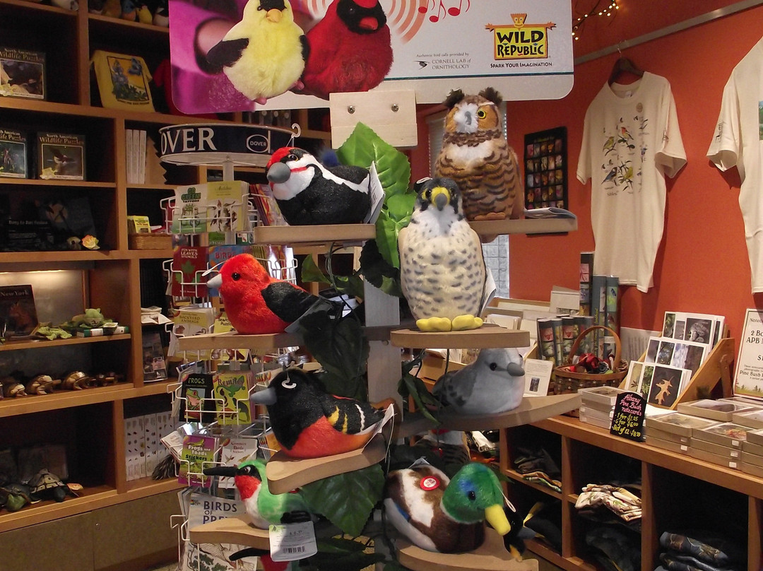 Albany Pine Bush Preserve-奥尔巴尼必去景点