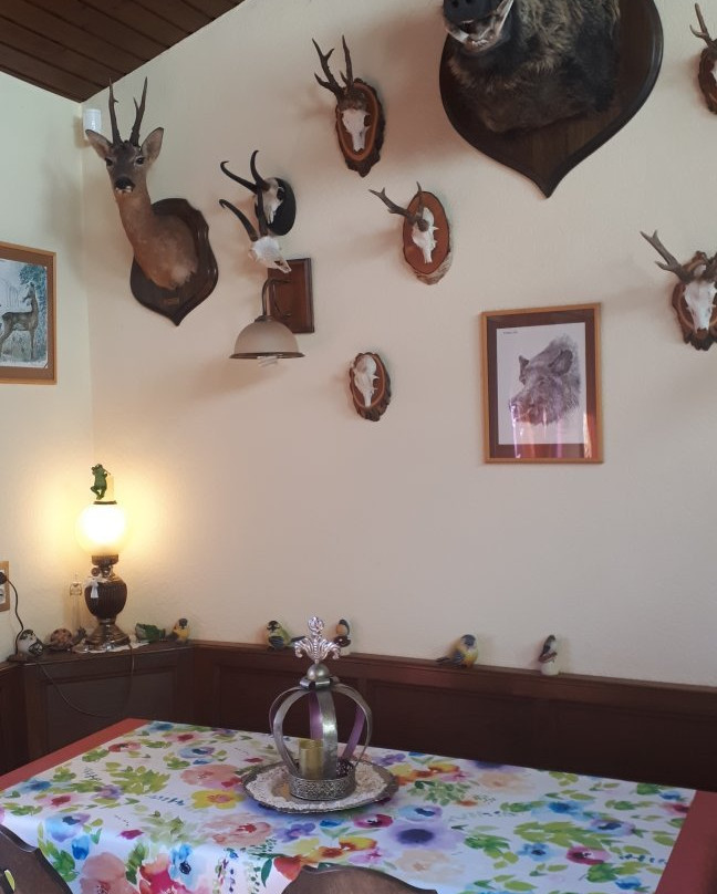 Hotel Restaurant A La Couronne D'Or主图