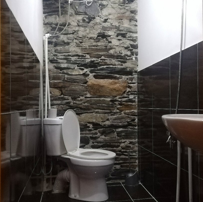 Guesthouse Svanuri Saxli主图