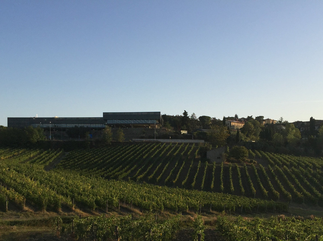 Fattoria Vignavecchia-拉达因基安蒂必去景点