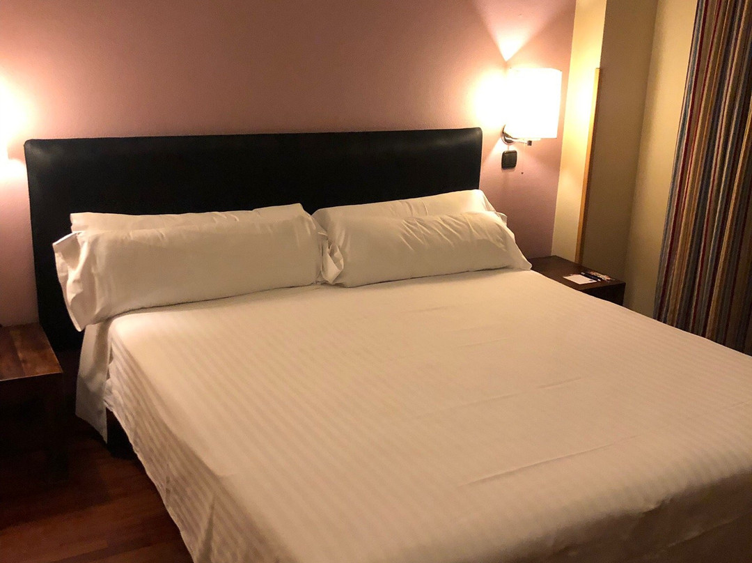 Valladolid Sofía Parquesol Hotel主图