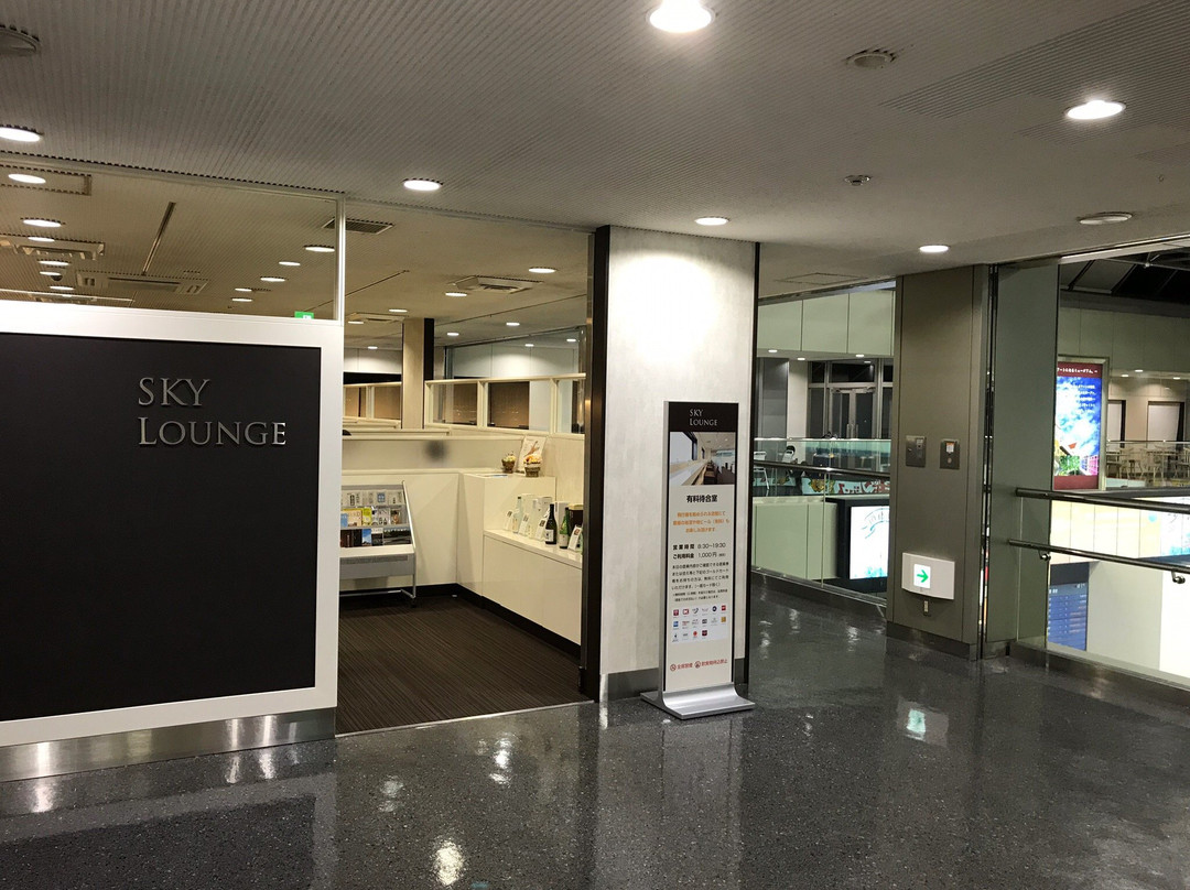 Matsuyama Airport Sky Lounge-松山市必去景点