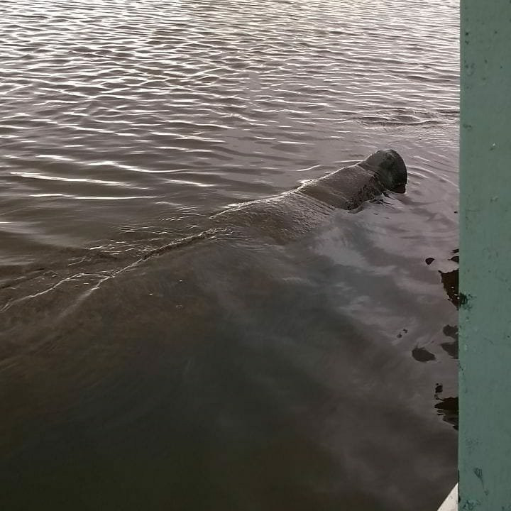 Camurupim Beach-Baia da Traicao必去景点