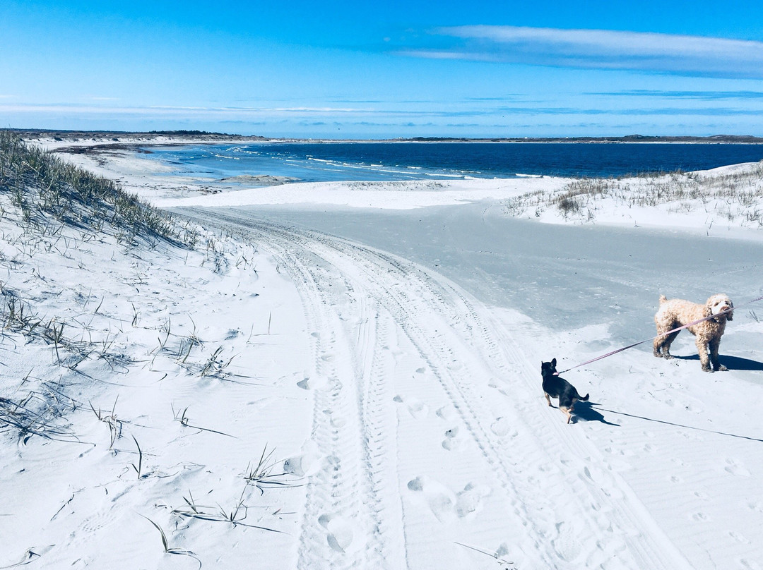 Cape Island Walking Trail景点图片