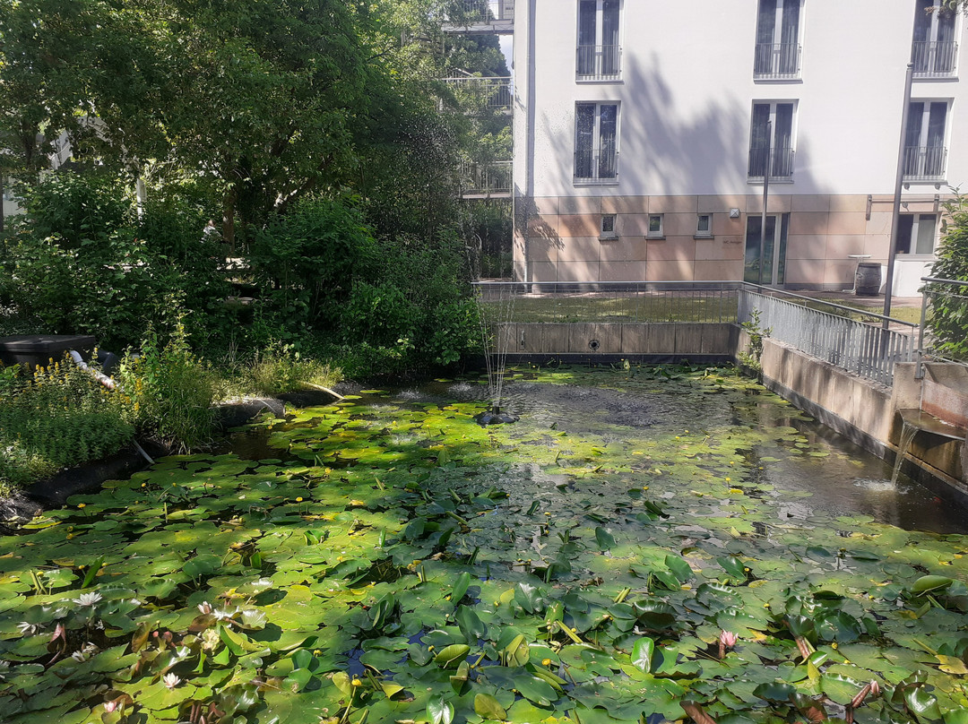 Schlosspark Rockenhausen景点图片