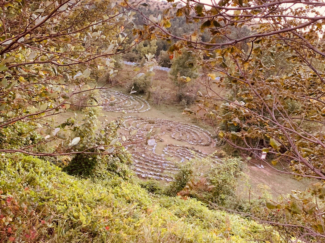 Labyrinth Novi Vinodolski景点图片