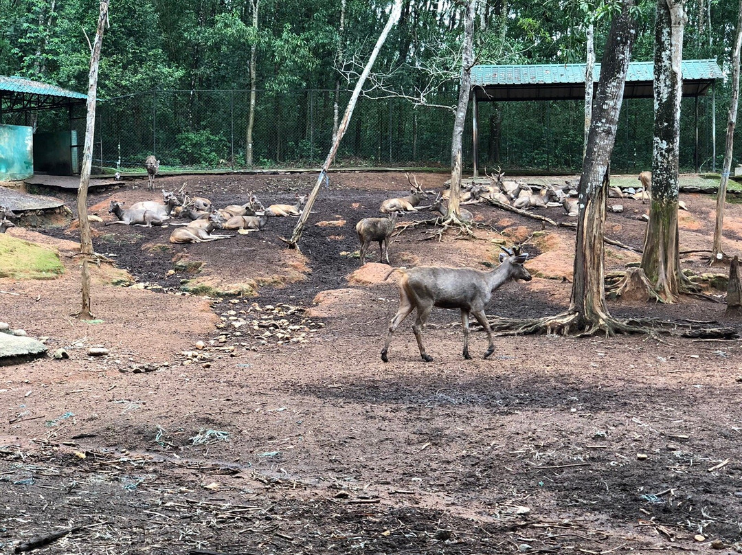 Abhayaranyam Zoo-Kodanad必去景点