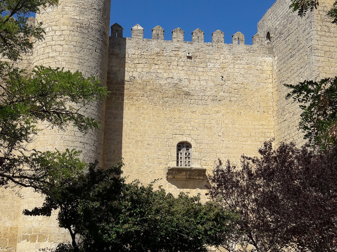 Castillo de Montealegre de Campos景点图片