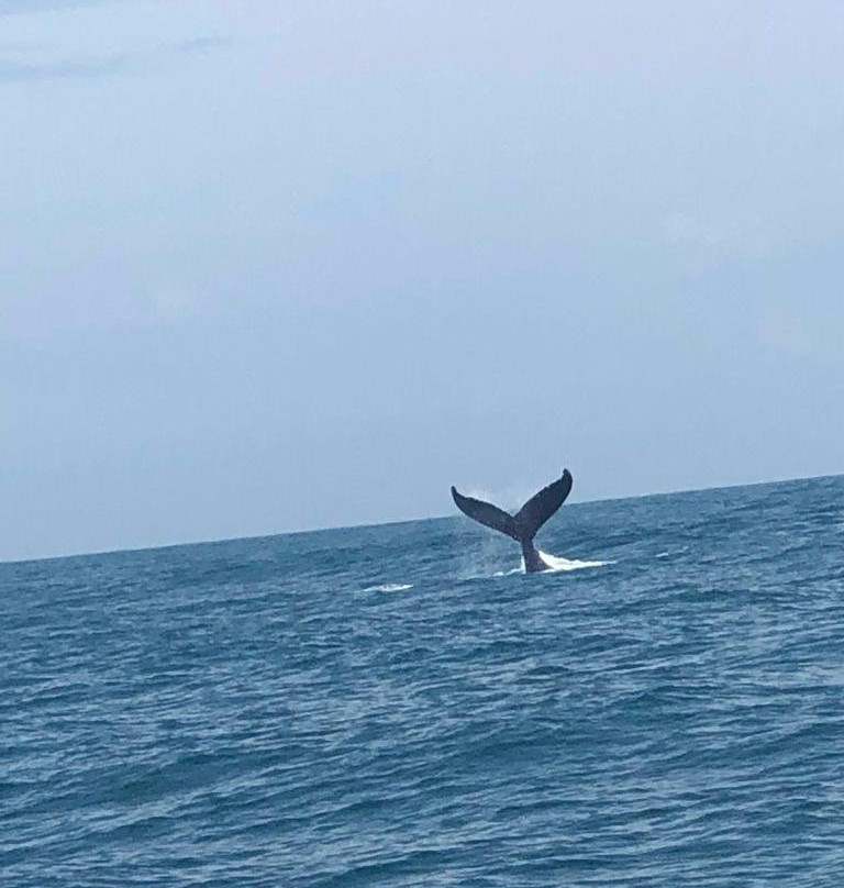 Hotel Cumuruxatiba主图