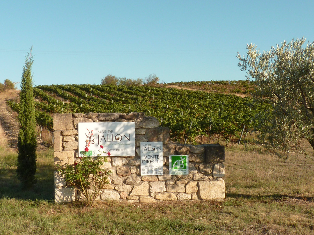 Domaine Mas De Jallon