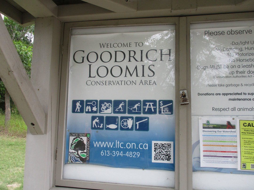 Goodrich-Loomis Conservation Area景点图片