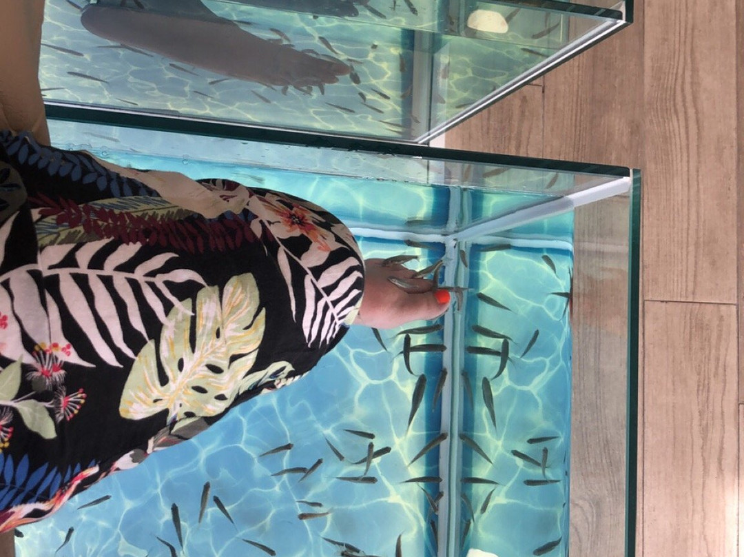 Magic Fish-卡拉多尔必去景点