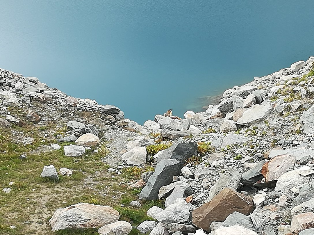 Lago Serru景点图片