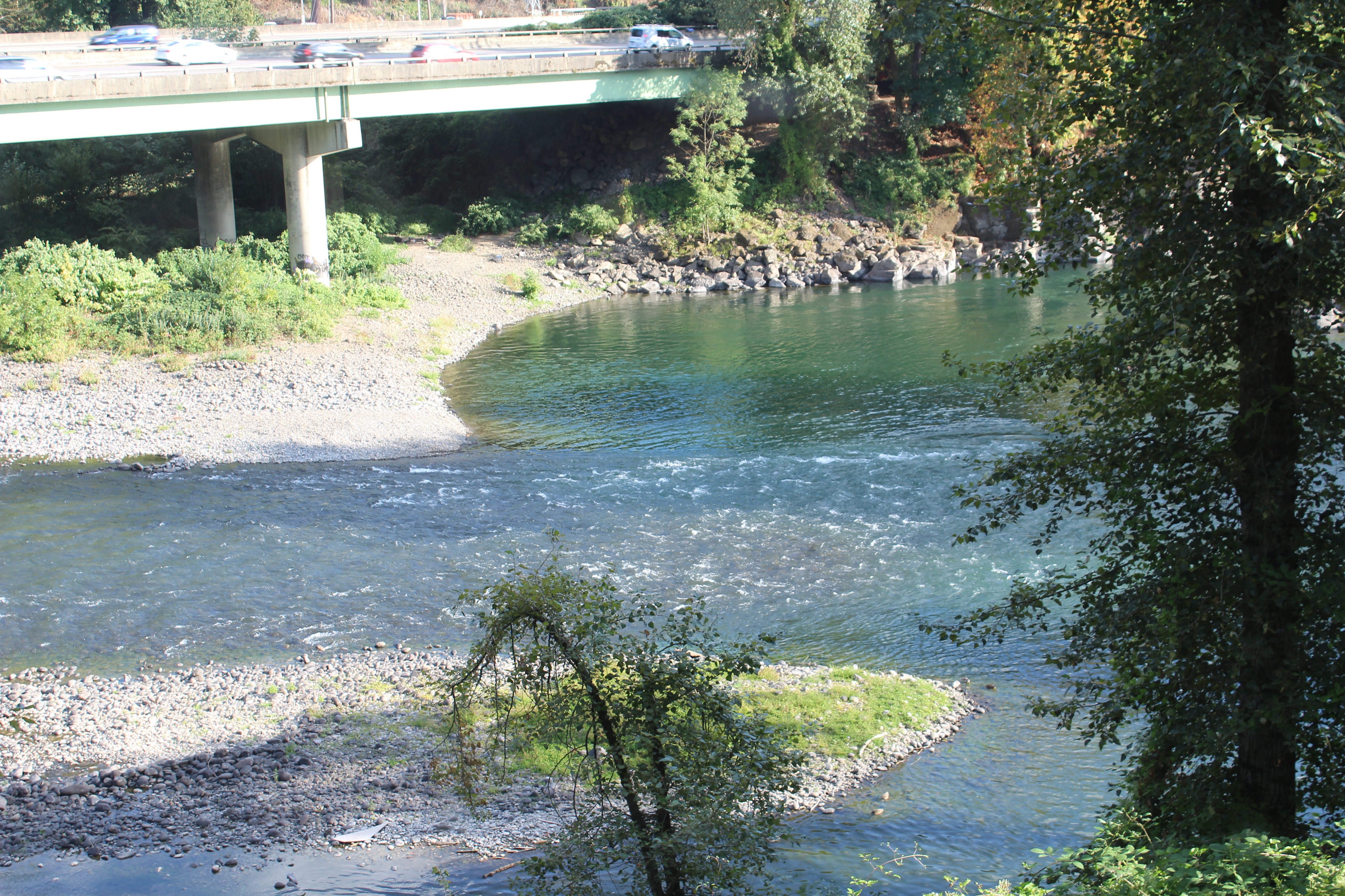 Holiday Inn Express Portland Se - Clackamas Area By IHG-酒店景观