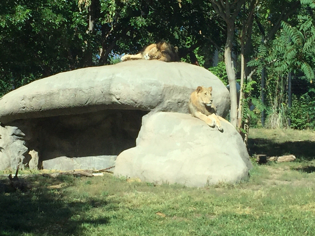 Pueblo Zoo-普韦布洛必去景点
