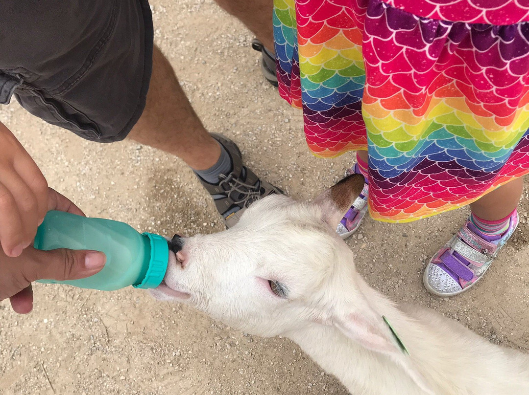 Deanna Rose Children's Farmstead-欧弗兰帕克必去景点