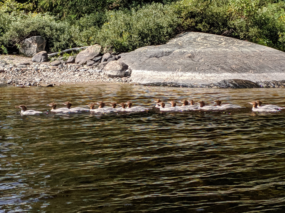 Finlayson Lake Resort and Campground